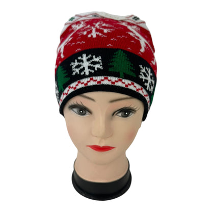 CHRISTMAS BEANIE SS4807-8 (12PC)